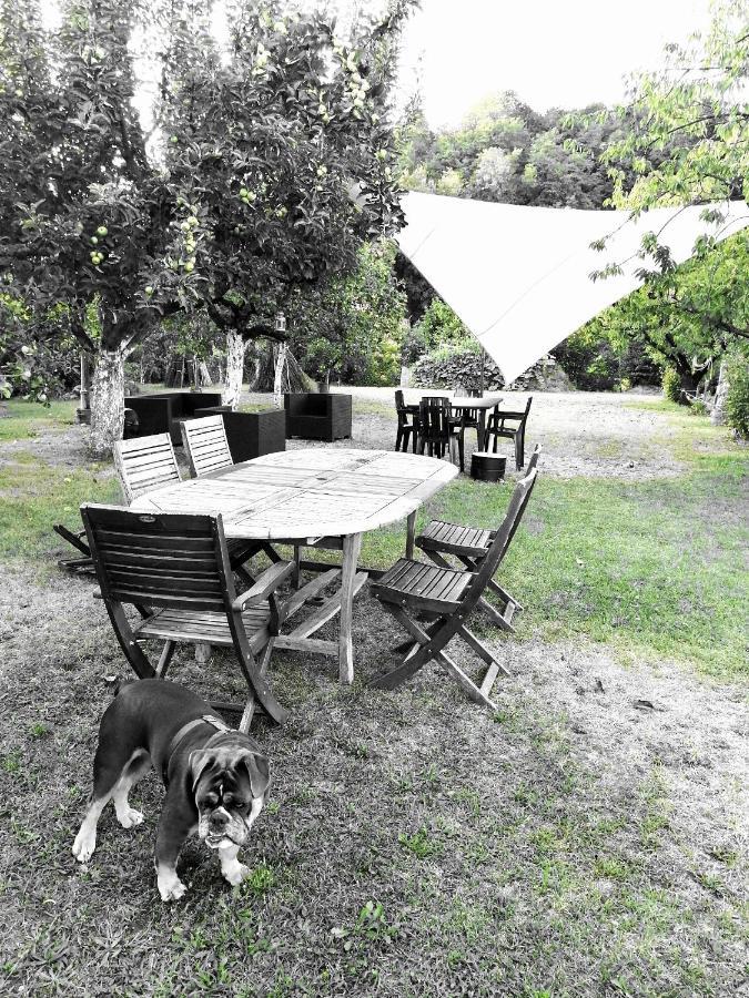 Bed and Breakfast Escapade Champetre Hauteville-sur-Fier Екстер'єр фото